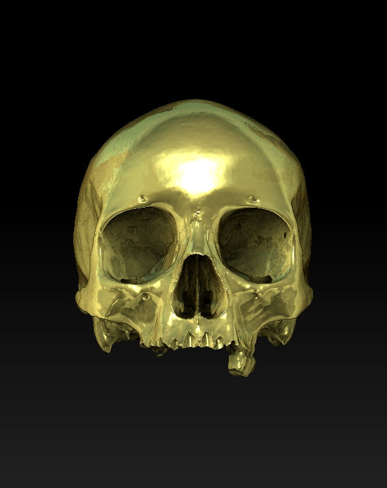 Bronze Skull Namba